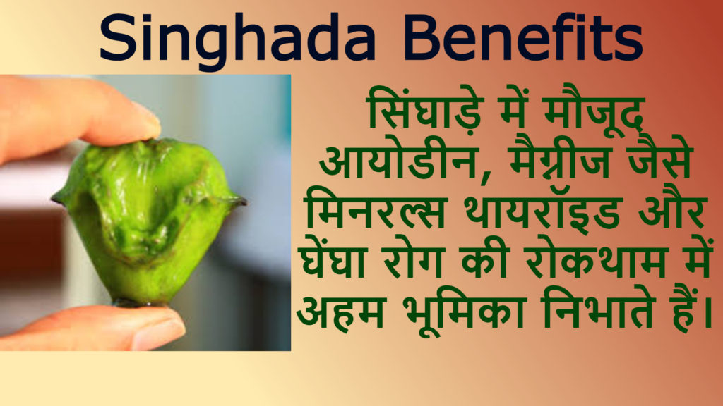 Singhada Benefits